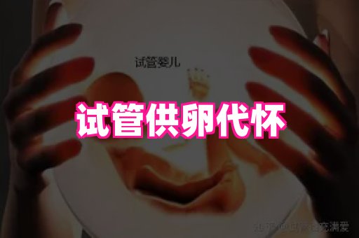 821孕网 2