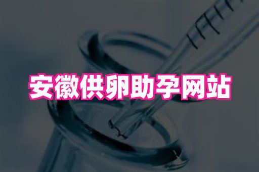 821孕网 3